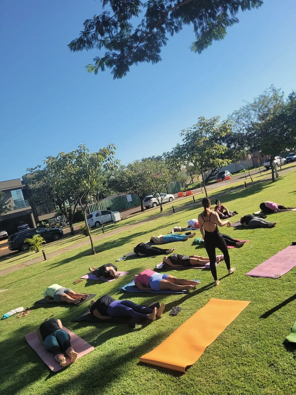 Relaxamento final da turma deitada na grama