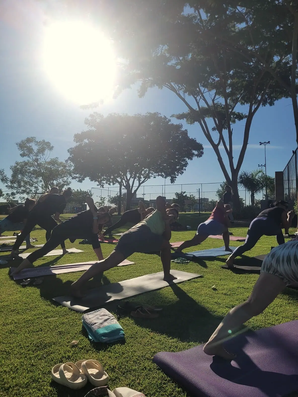 Avanço com o sol atravessando as árvores durante a aula
