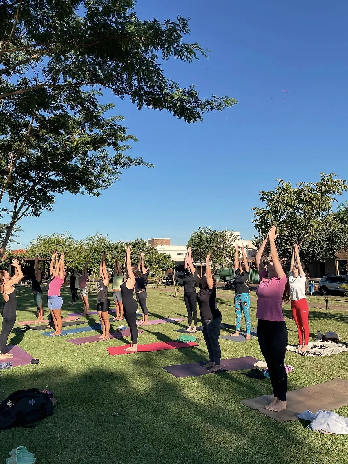 Turma de pé com braços elevados em Urdhva Hastasana
